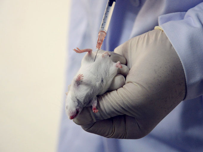 生物相容性試驗(yàn) 生物相容性試驗(yàn)