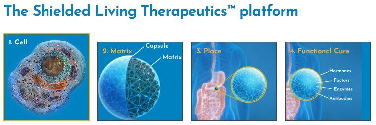 Shielded Living Therapeutics平臺(tái)(圖片來源:Sigilon Therapeutics官方網(wǎng)站) Shielded Living Therapeutics平臺(tái)(圖片來源:Sigilon Therapeutics官方網(wǎng)站)